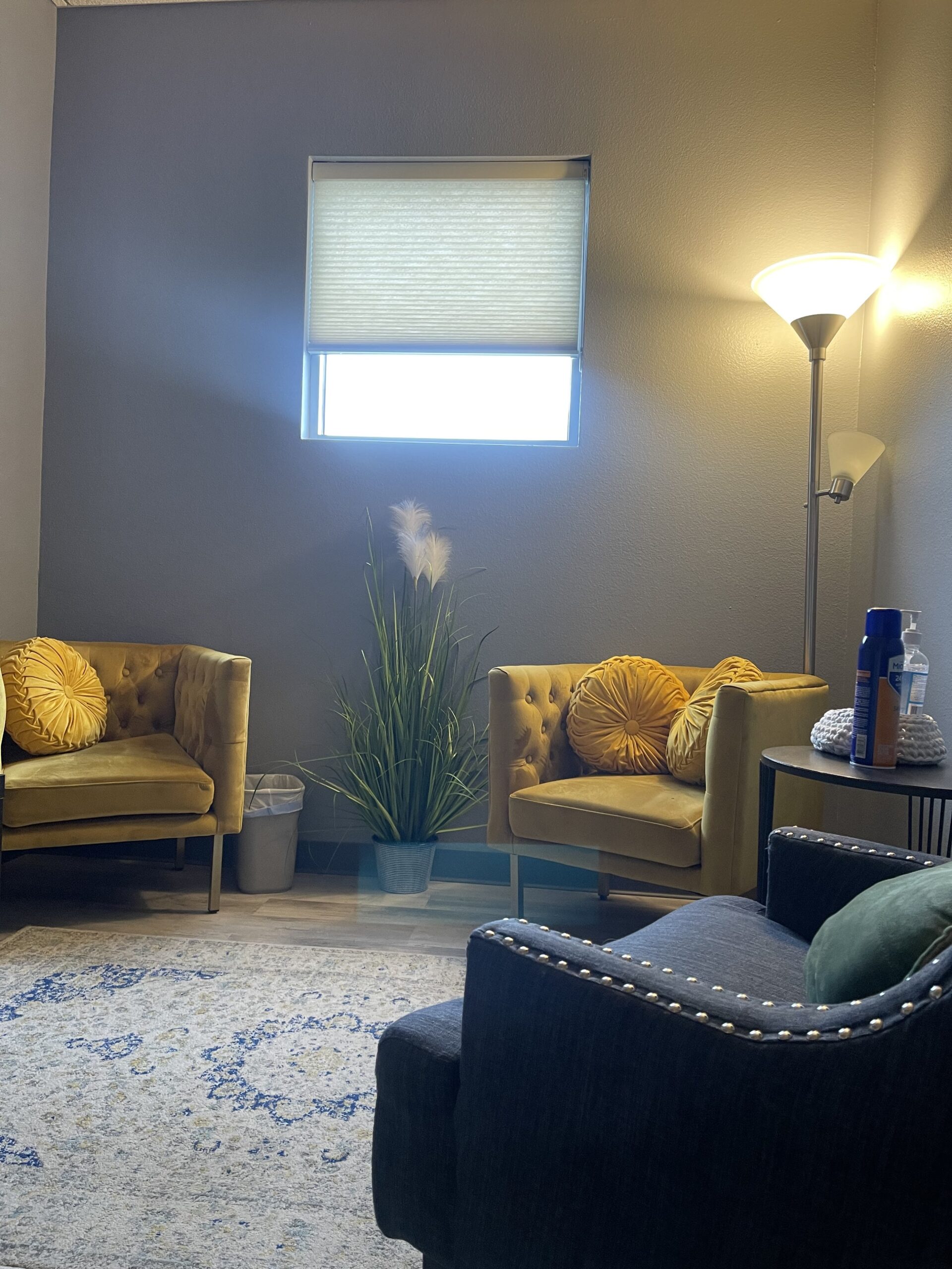 Clermont Yellow Room 6 View